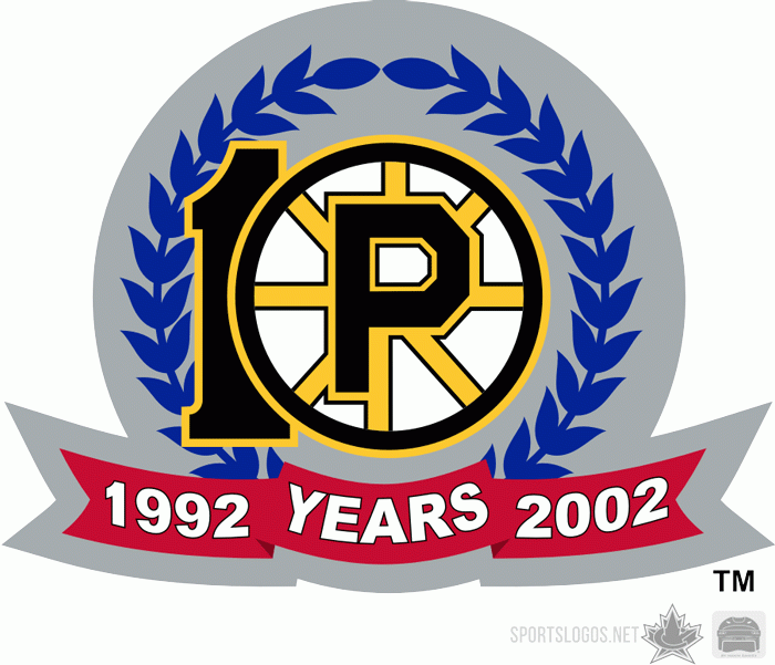 Providence Bruins 2001 02 Anniversary Logo iron on heat transfer